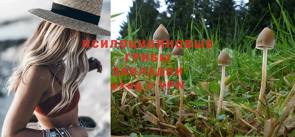 амф Покачи