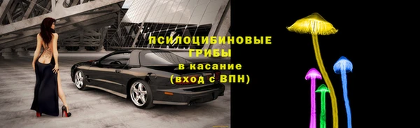амф Покачи