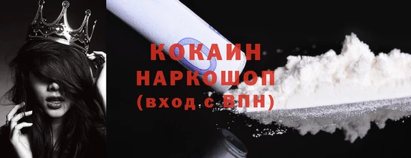 спиды Пересвет