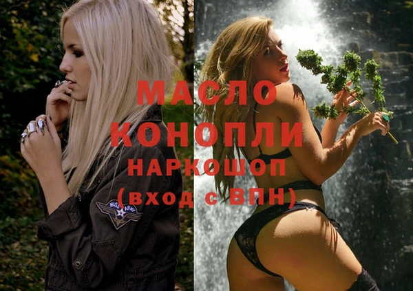 СК Няндома