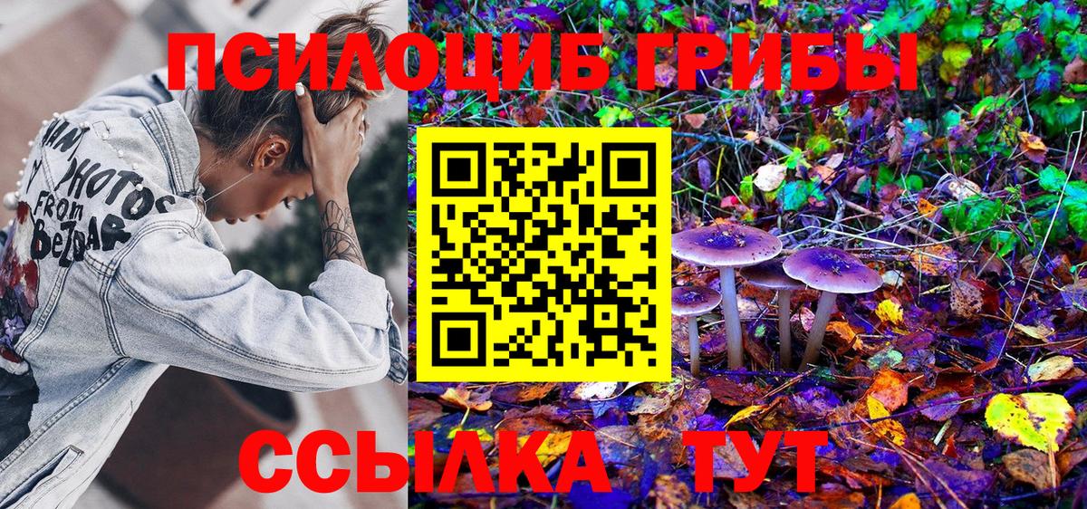 Псилоцибиновые грибы MAGIC MUSHROOMS Усть-Джегута