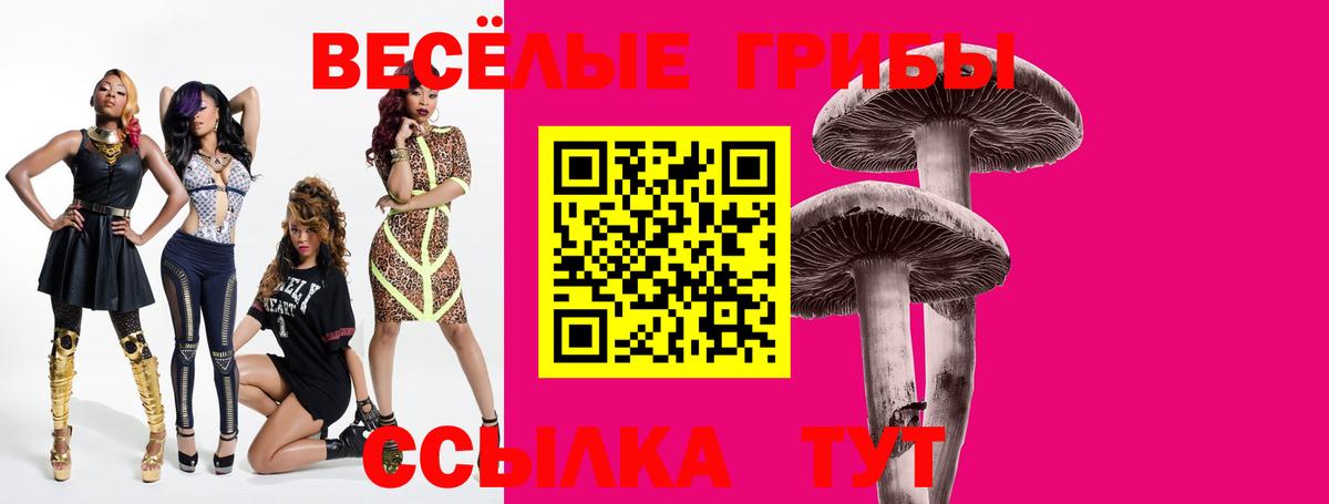 Галлюциногенные грибы MAGIC MUSHROOMS  Псилоцибиновые грибы GOLDEN TEACHER  Вход с VPN  Усть-Джегута 